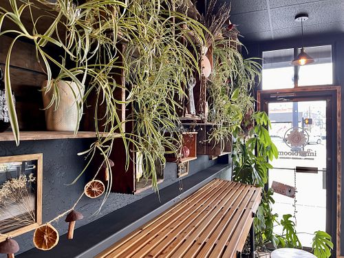 the vibe!  at Project Innerbloom in Pendleton
