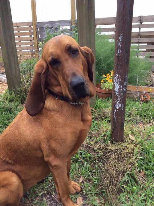 Elvira at Community Loaves in Jacksonville