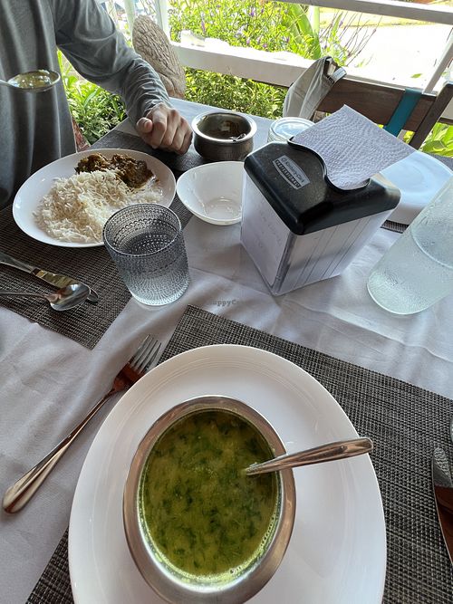 Vegan lentil soup and curry  at Ginger Indian Cuisine in Oakland