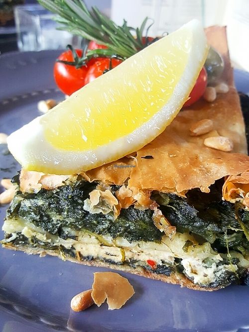 Image of The Vegan Eagle