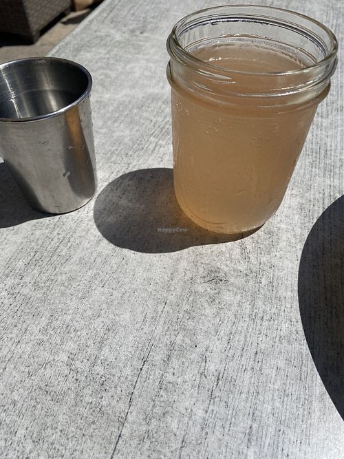 Signature Kombucha  • ZC Approved 😛💕  at Trilogy Sanctuary in La Jolla