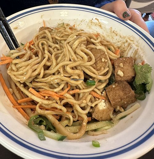 Nudeln mit Erdnuss Sauce.   at Jincheng Noodles in Luebeck