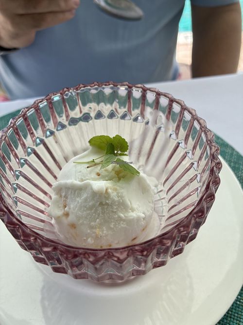 Coconut sorbet - normally not a fan of sorbet but this was FRESHLY made and you can definitely tell.  Absolutely delicious   at Swifty's at the Colony Palm Beach in Palm Beach