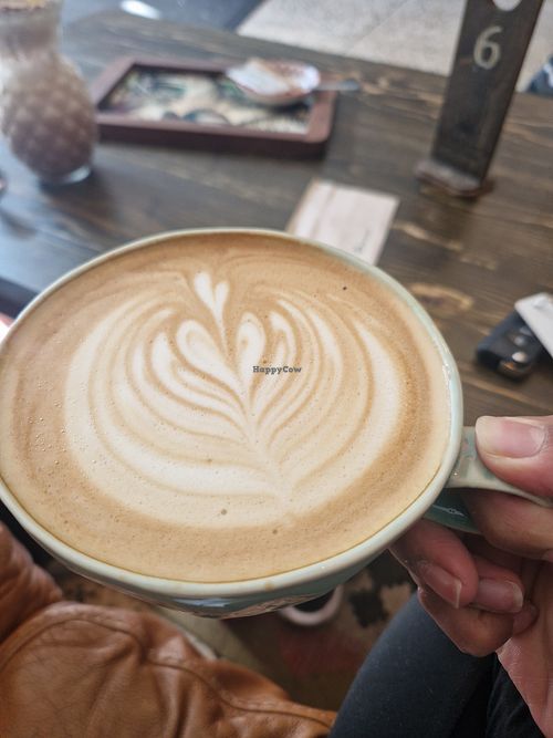 Oat milk latte at The Wild Lotus in Hinckley