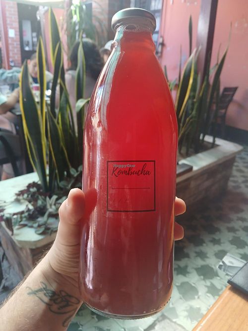 I got a liter of Kombucha to go, and it was very good. at Mandarina in Quetzaltenango