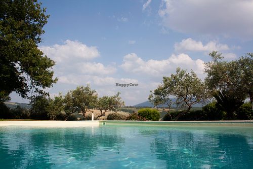Piscina ad acqua salina con vista – Saltwater pool with a view at Angolo del Benessere in Assisi