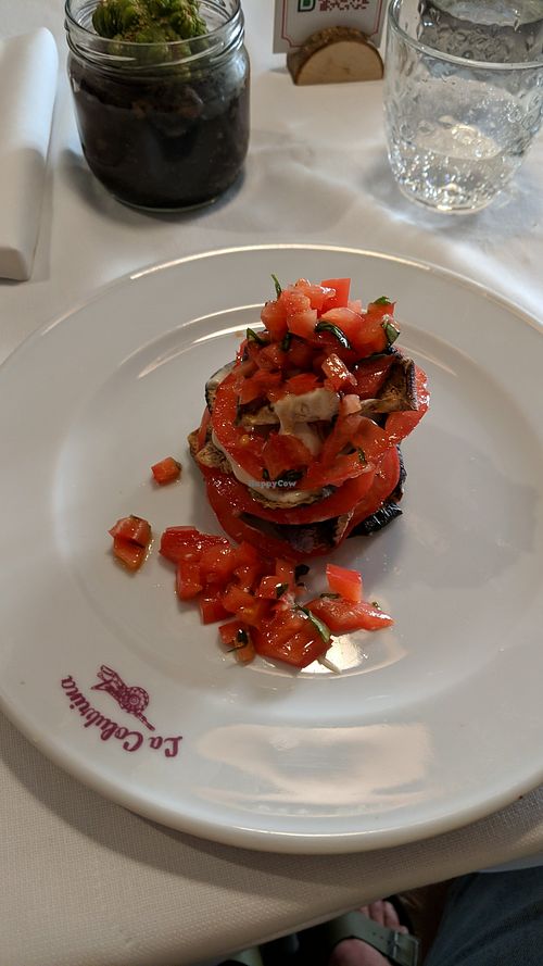 Raw vegan parmiggiana at La Colubrina in Milan