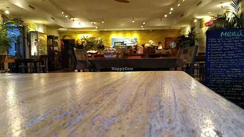 Venue1 at Wild Beets in Ibiza