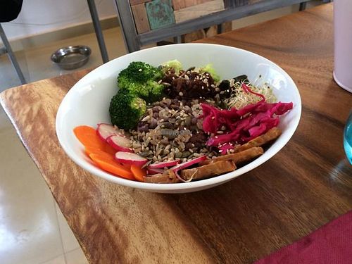 Dragon Bowl at Wild Beets in Ibiza
