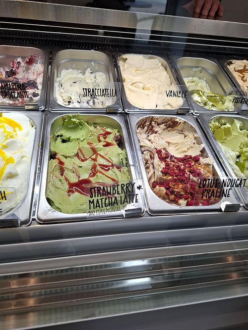 (Lotus wird auch bald vegan) at sicurini - gelato e caffè  in Muenster