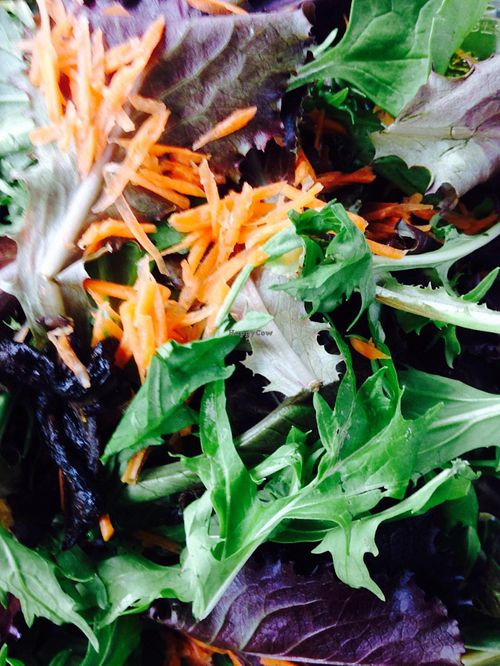 Salad with mesclun, olive and oil dressing at Chocolate Crust in Washington