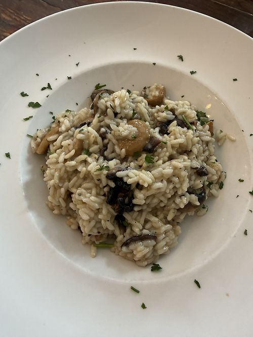 Risotto al Funghi Porcini (Italian rice, porcini mushrooms, garlic, black pepper and parsley)  at Ristorante Illando  in San Diego