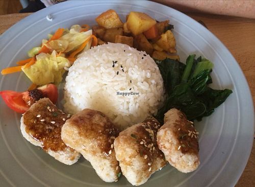 chicken and rice  at Kuan-Yin Vegetarian in Brisbane