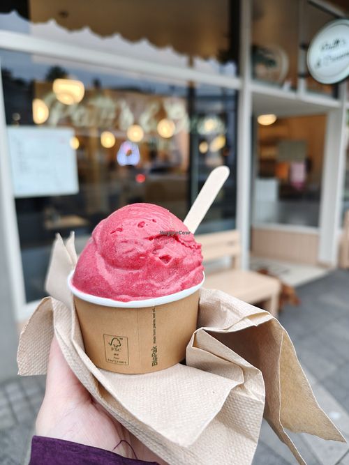 Plum Sorbet - vegan at Patti's & Cream Diner in Dunedin