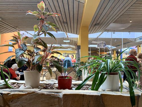 inside at Heller's Vegetarisches Restaurant & Cafe in Mannheim