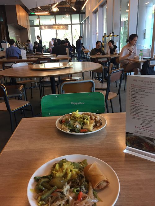 Chinese vegetarian plate from buffet at lunchtime at Bijas Vegetarian 一念素食 in Hong Kong Island