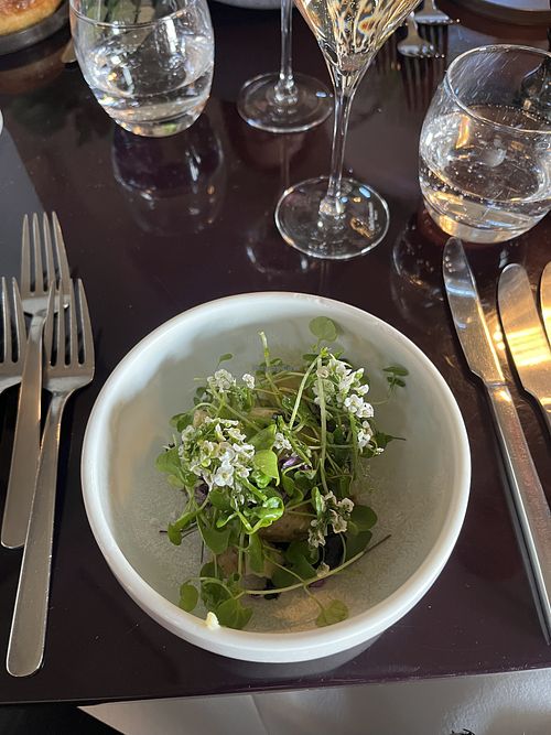 Potato with trumpet caps & croutons (vegan version)  at Norrlyst i Tårnet in Copenhagen