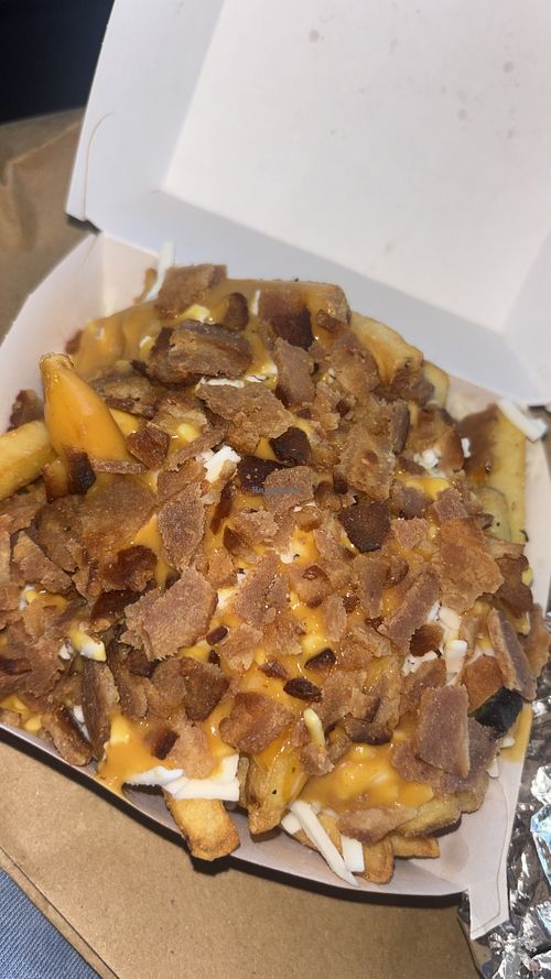 Dirty fries  at PLNT in Manchester