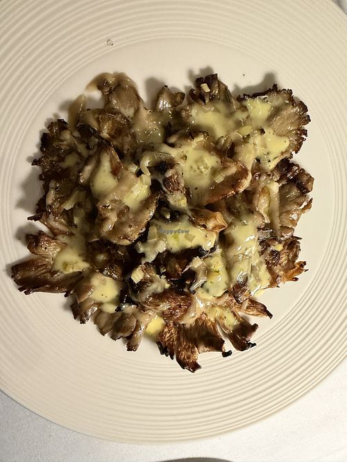 Grilled oyster mushroom appetizer (grilled pleubotus)  at Olive Garden  in Athens