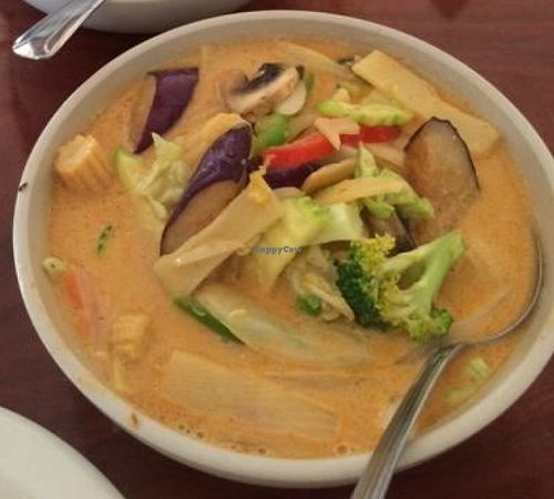 Massaman and panang curries at Thai Village in American Fork