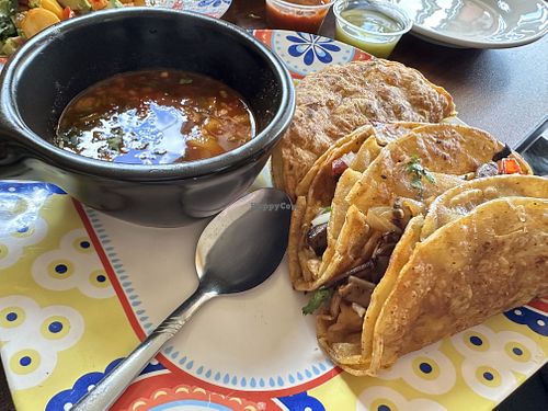 Vegan Quesabirrias   at El Habanero Mexican street Food in Peoria