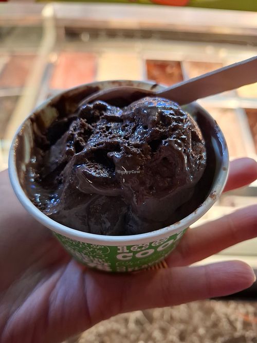 Macchiato at Ben & Jerry's in Auckland