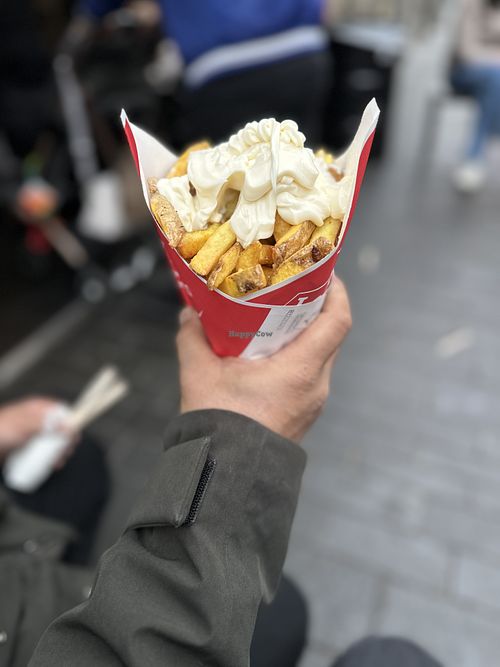 Fries with vegan mayo  at La Bamba 2.0 in Enschede