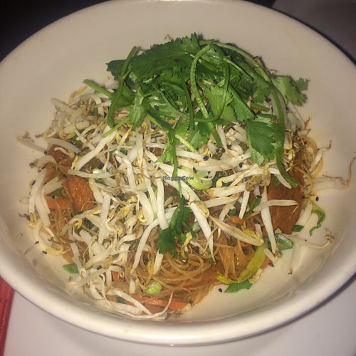 Hsinchu noodle bowl at Eloise in El Paso