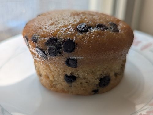 Vegan chocolate chip muffin at Paris Baguette in St Louis