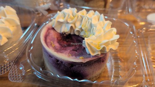 Lemon blueberry at Dainty Cheesecake Company in Jacksonville