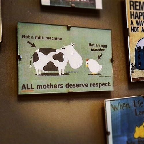 Vegan wall at VegaVerso in Leuven