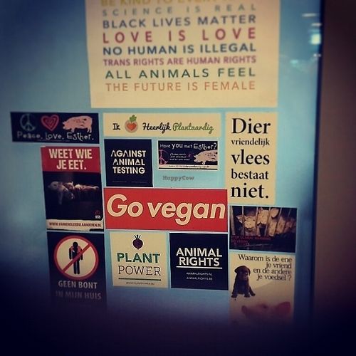 Go vegan at VegaVerso in Leuven