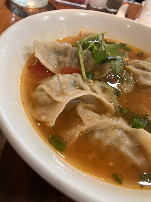 Veg soup dumplings  at Bayleaf Stir & Curry House in San Antonio