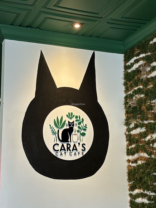 Place  at Cara's Cat Cafe in Destin
