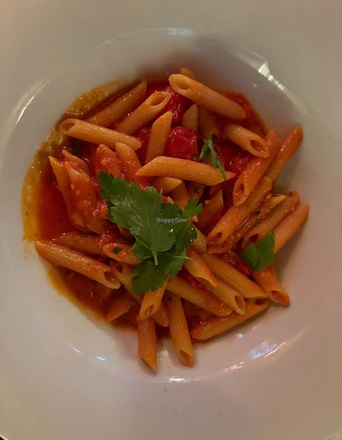 Penne all Arrabbiata  at Regina Margherita in Vienna