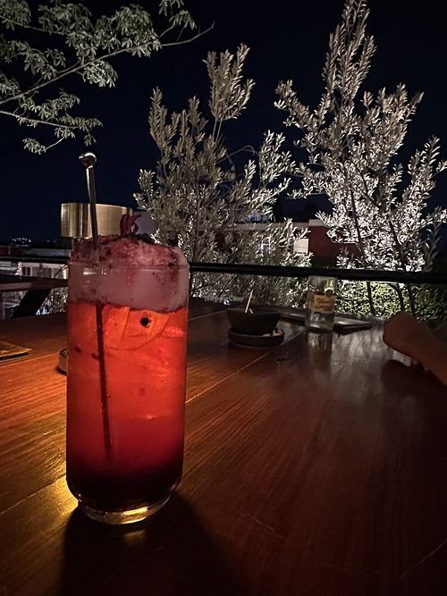 Tarragón Tonight- jarabe estragón, zarzamora, concentrado de jamaica, topo chico  at El Olivo Gastrobar in Oaxaca