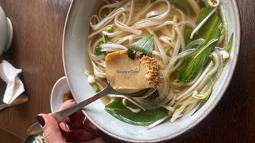 The pho had different mushrooms, among them the lions mane mushroom!!   at Tabaha Maya in Svendborg