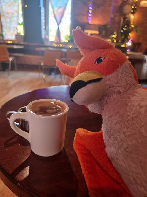 A vegan americano coffee with oat milk (photo of my plushy included) at WANDER Berkshires in Pittsfield