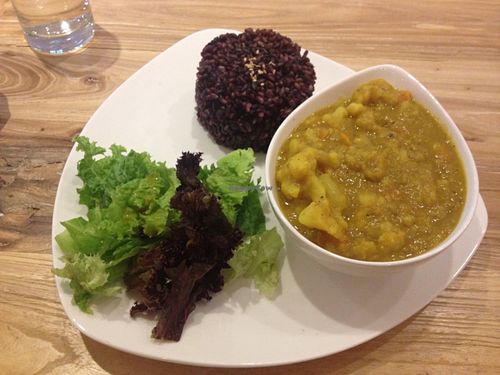 curry with rice at Sprout Lifestyle Cafe in Shanghai