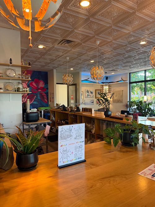  at Plant Bar - Coffee and Tea in Chattanooga
