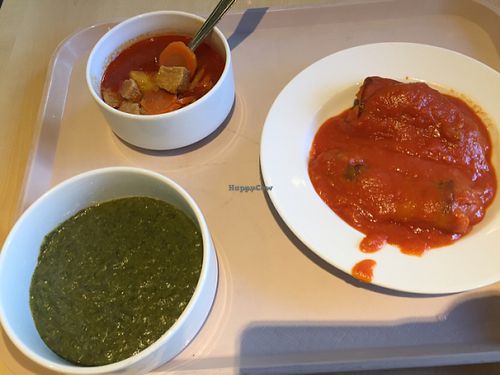 goulash soup, spinach stew and stuffed paprika at Vega City in Budapest