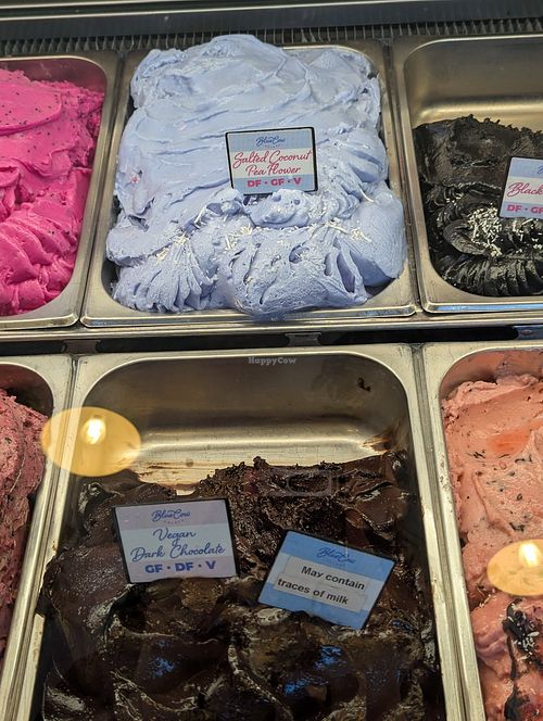 Vegan flavors at Blue Cow Gelato Byron Bay in Byron Bay