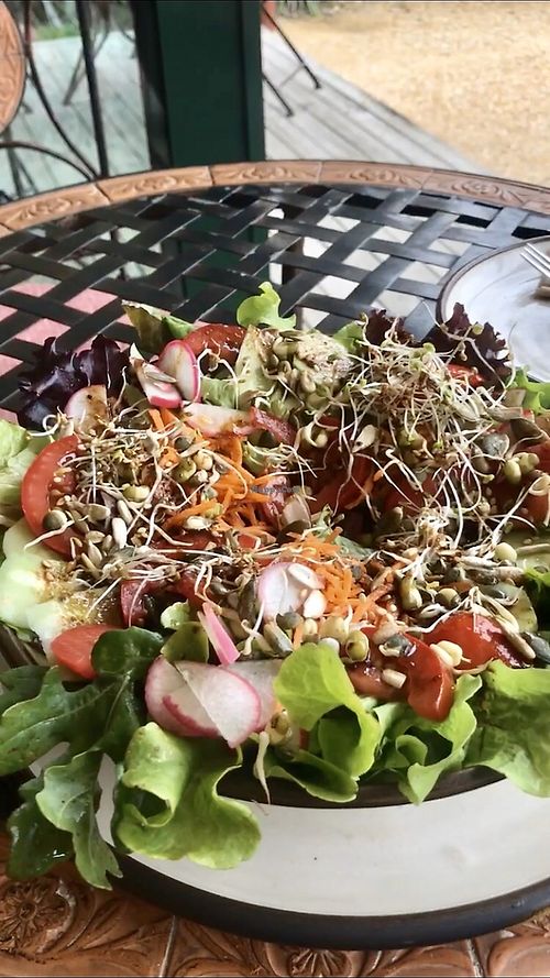 yummy salad at Takaka Infusion in Takaka