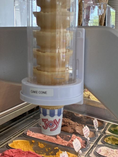 Cone  at Frozen Bloom Creamery & Coffee in Destin