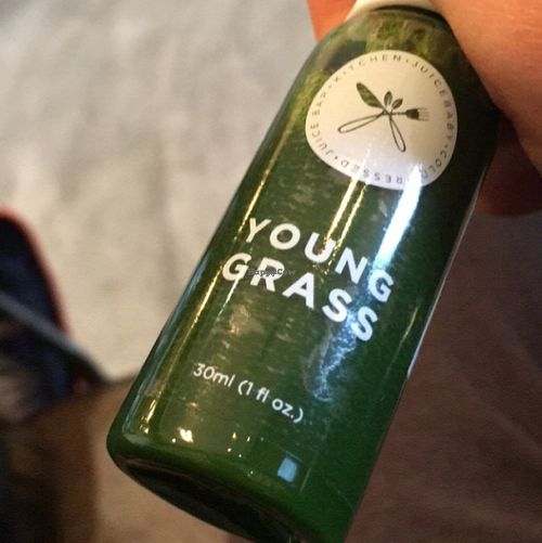 wheatgrass shots  at Juicebaby in South West London