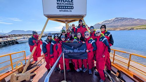 Vegan group tour through Iceland at Veggies Abroad in Royal Oak