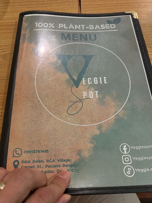 Yummy Filipino food!  at Veggie Spot in Davao City
