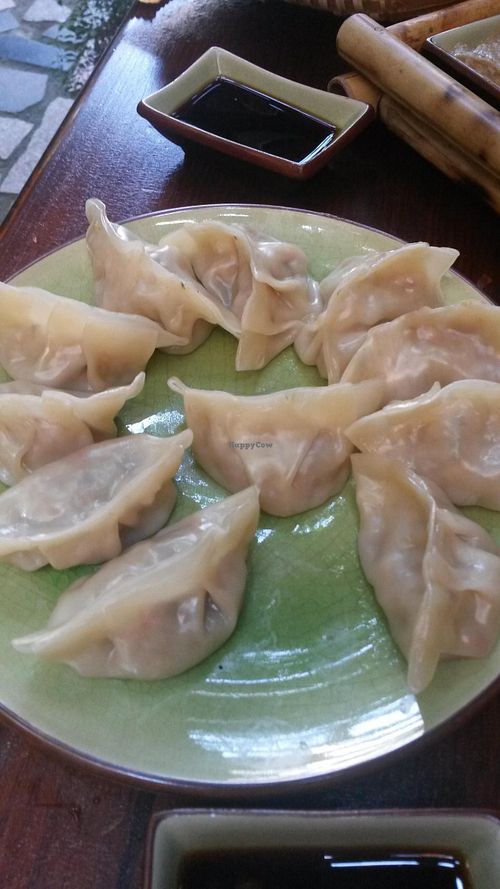 Veggie Dumplings at Mood Food Energy Cafe in Yangshuo