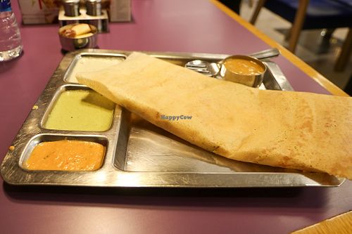 onion dosa at Saravana Bhavan in Doha