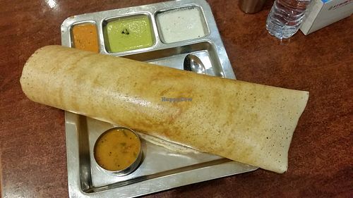 Masala Dosa at Saravana Bhavan in Doha